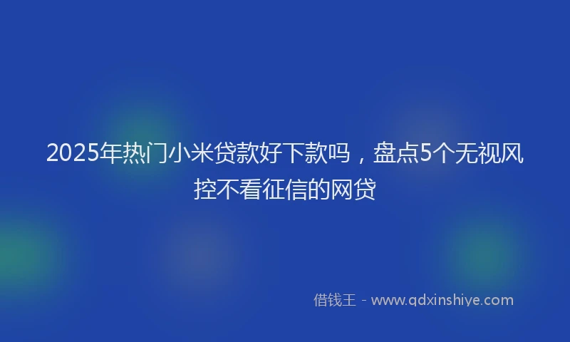 2025年热门小米贷款好下款吗，盘点5个无视风控不看征信的网贷