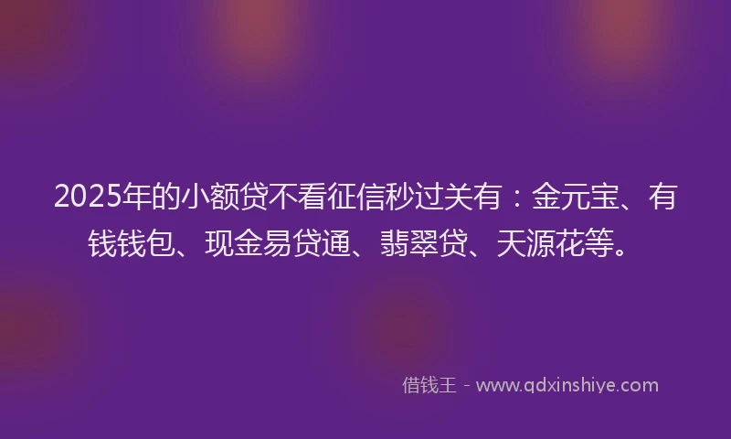 2025年的小额贷不看征信秒过关有：金元宝、有钱钱包、现金易贷通、翡翠贷、天源花等。