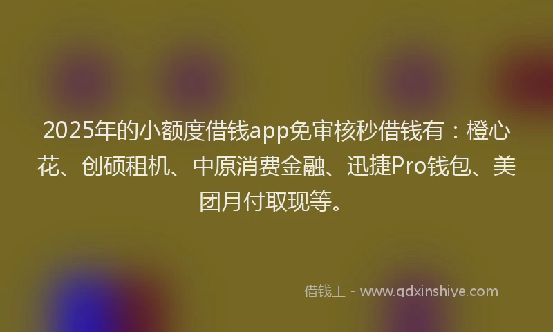 2025年的小额度借钱app免审核秒借钱有：橙心花、创硕租机、中原消费金融、迅捷Pro钱包、美团月付取现等。