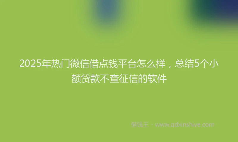 2025年热门微信借点钱平台怎么样，总结5个小额贷款不查征信的软件