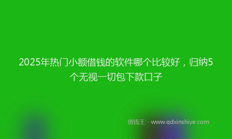 2025年热门小额借钱的软件哪个比较好，归纳5个无视一切包下款口子