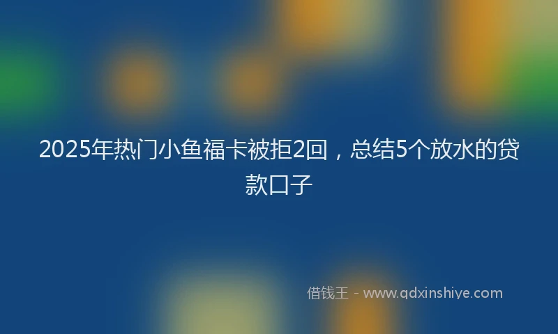2025年热门小鱼福卡被拒2回，总结5个放水的贷款口子