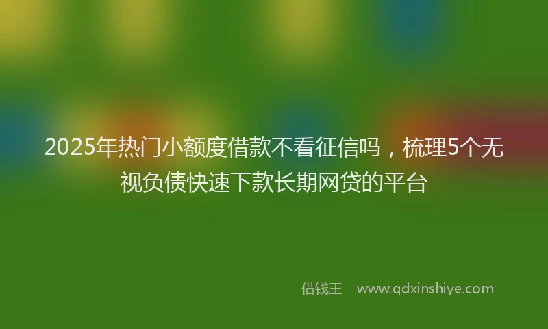 2025年热门小额度借款不看征信吗，梳理5个无视负债快速下款长期网贷的平台