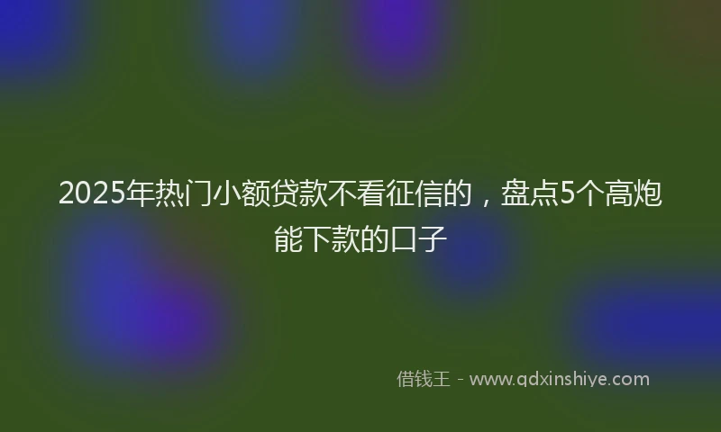 2025年热门小额贷款不看征信的，盘点5个高炮能下款的口子