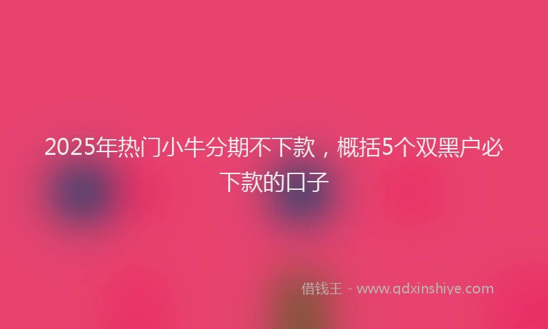 2025年热门小牛分期不下款，概括5个双黑户必下款的口子