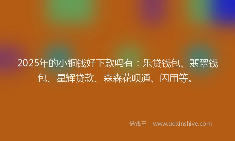 2025年的小铜钱好下款吗有：乐贷钱包、翡翠钱包、星辉贷款、森森花呗通、闪用等。