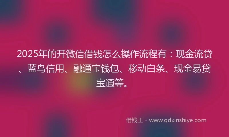 2025年的开微信借钱怎么操作流程有：现金流贷、蓝鸟信用、融通宝钱包、移动白条、现金易贷宝通等。