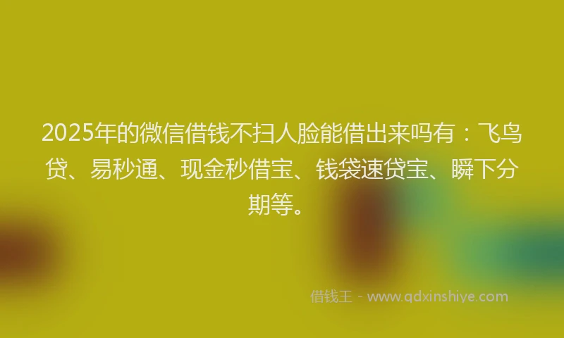 2025年的微信借钱不扫人脸能借出来吗有：飞鸟贷、易秒通、现金秒借宝、钱袋速贷宝、瞬下分期等。