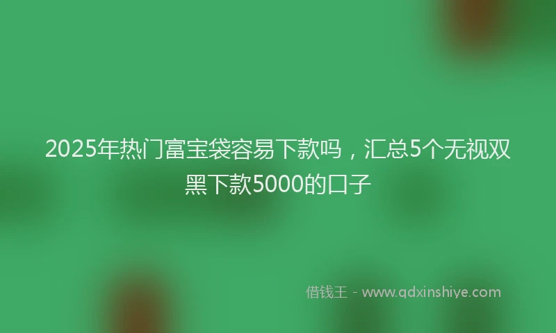 2025年热门富宝袋容易下款吗，汇总5个无视双黑下款5000的口子