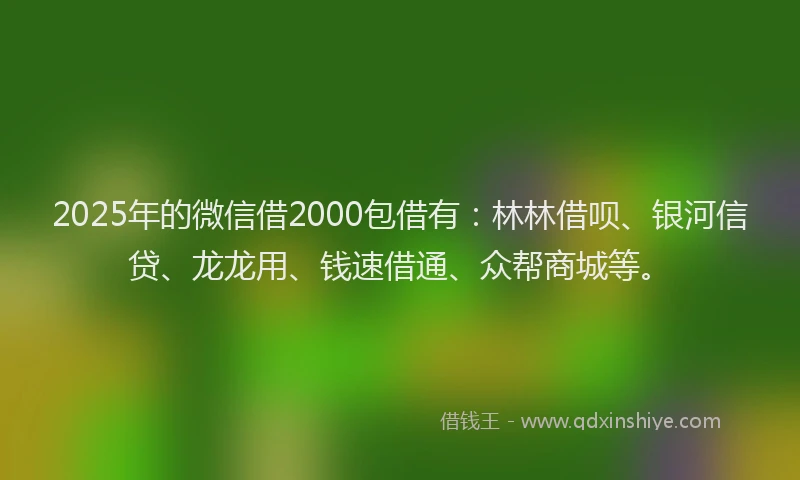 2025年的微信借2000包借有：林林借呗、银河信贷、龙龙用、钱速借通、众帮商城等。