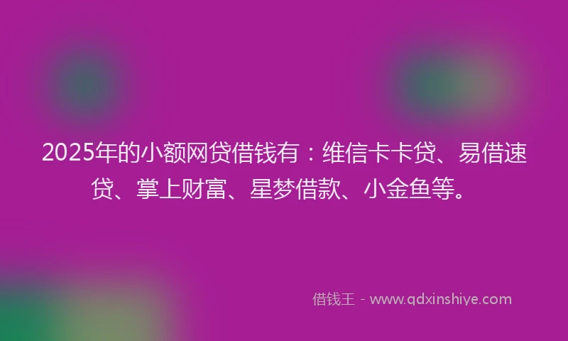 2025年的小额网贷借钱有：维信卡卡贷、易借速贷、掌上财富、星梦借款、小金鱼等。
