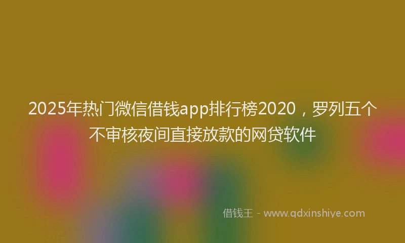 2025年热门微信借钱app排行榜2020，罗列五个不审核夜间直接放款的网贷软件