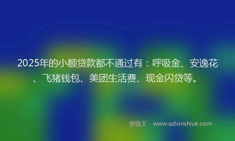 2025年的小额贷款都不通过有：呼吸金、安逸花、飞猪钱包、美团生活费、现金闪贷等。