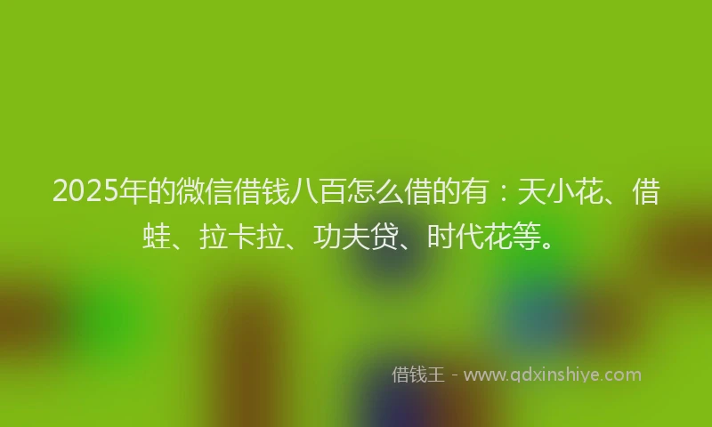 2025年的微信借钱八百怎么借的有：天小花、借蛙、拉卡拉、功夫贷、时代花等。