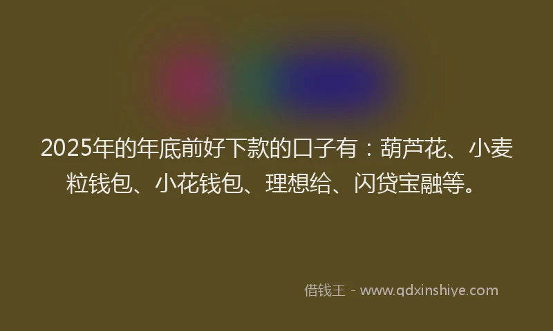 2025年的年底前好下款的口子有：葫芦花、小麦粒钱包、小花钱包、理想给、闪贷宝融等。