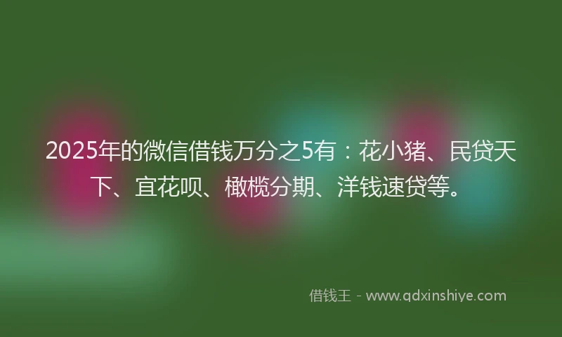2025年的微信借钱万分之5有：花小猪、民贷天下、宜花呗、橄榄分期、洋钱速贷等。