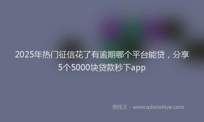 2025年热门征信花了有逾期哪个平台能贷，分享5个5000块贷款秒下app