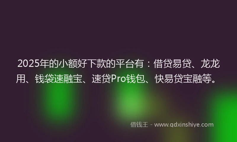 2025年的小额好下款的平台有：借贷易贷、龙龙用、钱袋速融宝、速贷Pro钱包、快易贷宝融等。