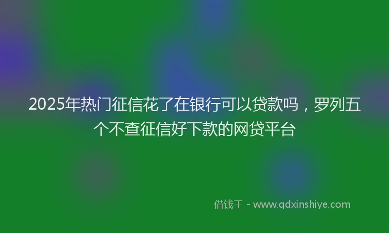 2025年热门征信花了在银行可以贷款吗，罗列五个不查征信好下款的网贷平台