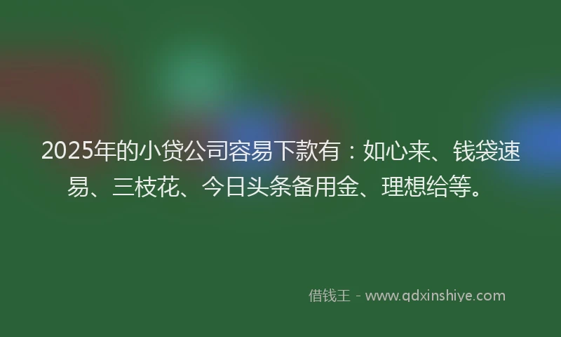2025年的小贷公司容易下款有：如心来、钱袋速易、三枝花、今日头条备用金、理想给等。