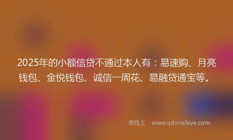 2025年的小额信贷不通过本人有：易速购、月亮钱包、金悦钱包、诚信一周花、易融贷通宝等。