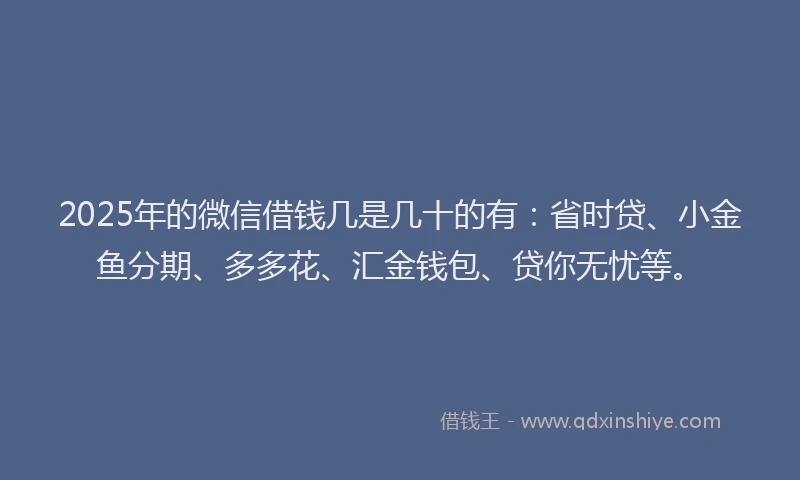 2025年的微信借钱几是几十的有：省时贷、小金鱼分期、多多花、汇金钱包、贷你无忧等。