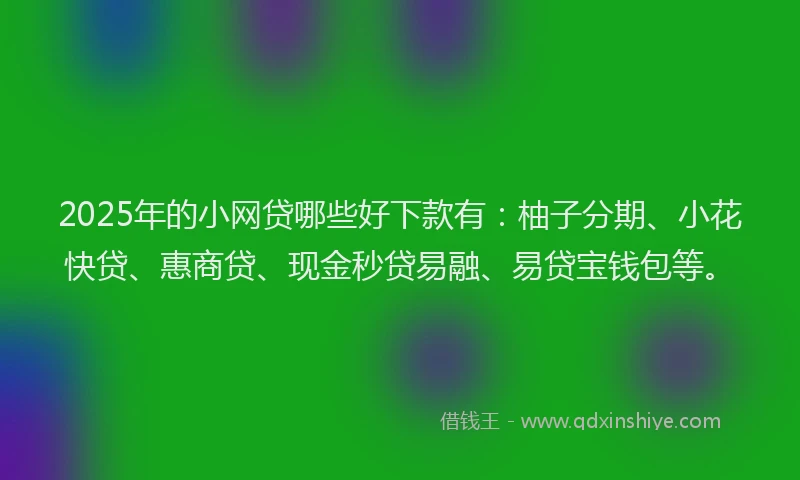 2025年的小网贷哪些好下款有：柚子分期、小花快贷、惠商贷、现金秒贷易融、易贷宝钱包等。
