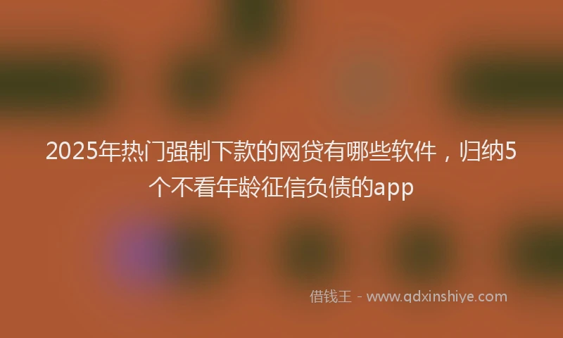 2025年热门强制下款的网贷有哪些软件，归纳5个不看年龄征信负债的app