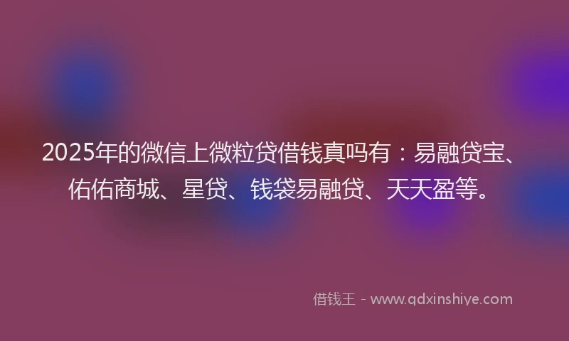 2025年的微信上微粒贷借钱真吗有：易融贷宝、佑佑商城、星贷、钱袋易融贷、天天盈等。