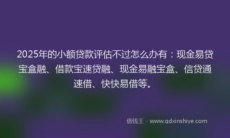 2025年的小额贷款评估不过怎么办有：现金易贷宝盒融、借款宝速贷融、现金易融宝盒、信贷通速借、快快易借等。