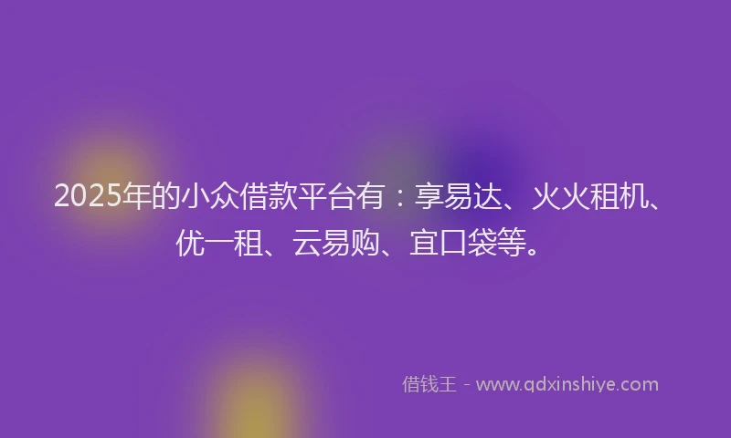 2025年的小众借款平台有：享易达、火火租机、优一租、云易购、宜口袋等。