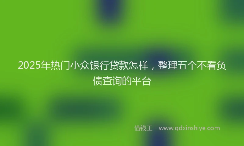 2025年热门小众银行贷款怎样，整理五个不看负债查询的平台