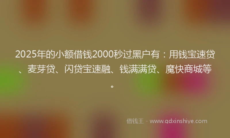 2025年的小额借钱2000秒过黑户有：用钱宝速贷、麦芽贷、闪贷宝速融、钱满满贷、魔快商城等。
