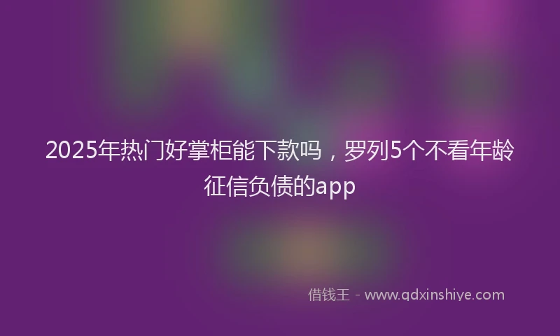 2025年热门好掌柜能下款吗，罗列5个不看年龄征信负债的app