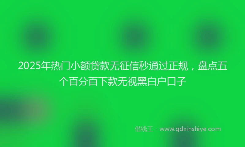 2025年热门小额贷款无征信秒通过正规，盘点五个百分百下款无视黑白户口子