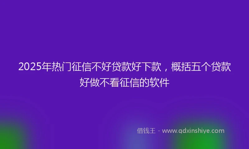 2025年热门征信不好贷款好下款，概括五个贷款好做不看征信的软件
