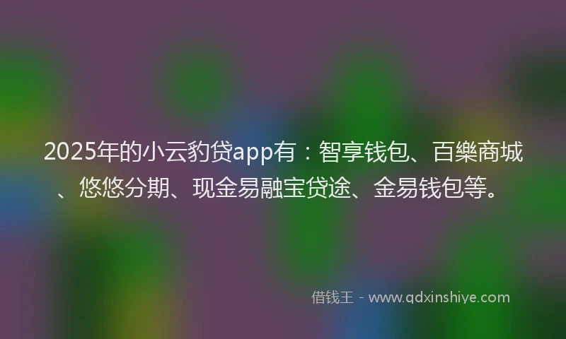 2025年的小云豹贷app有：智享钱包、百樂商城、悠悠分期、现金易融宝贷途、金易钱包等。