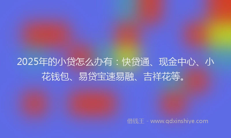 2025年的小贷怎么办有：快贷通、现金中心、小花钱包、易贷宝速易融、吉祥花等。
