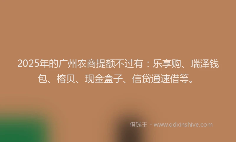 2025年的广州农商提额不过有：乐享购、瑞泽钱包、榕贝、现金盒子、信贷通速借等。