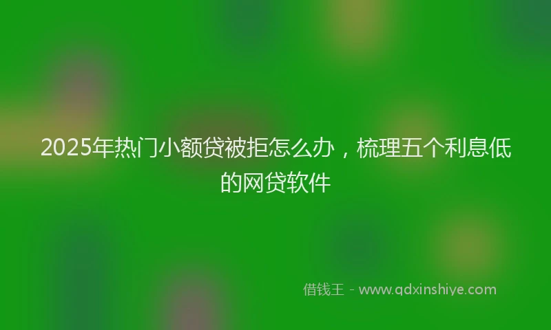 2025年热门小额贷被拒怎么办，梳理五个利息低的网贷软件