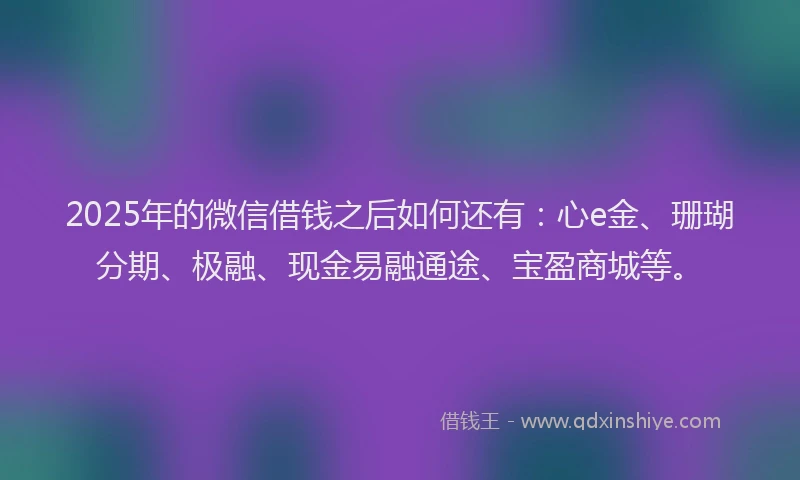 2025年的微信借钱之后如何还有：心e金、珊瑚分期、极融、现金易融通途、宝盈商城等。
