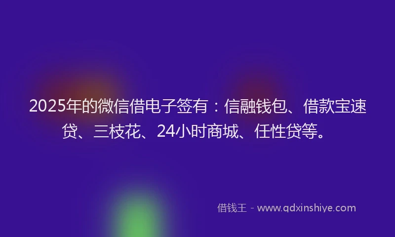 2025年的微信借电子签有：信融钱包、借款宝速贷、三枝花、24小时商城、任性贷等。
