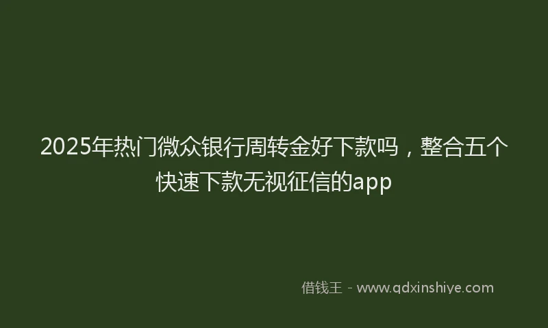 2025年热门微众银行周转金好下款吗，整合五个快速下款无视征信的app