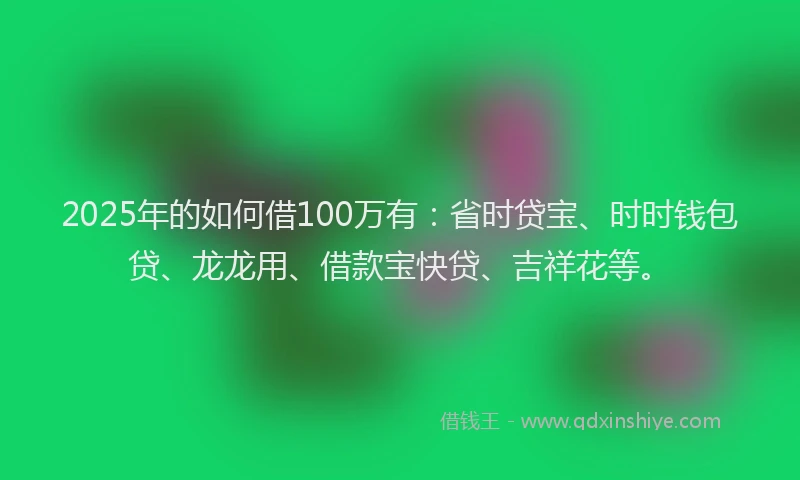 2025年的如何借100万有：省时贷宝、时时钱包贷、龙龙用、借款宝快贷、吉祥花等。