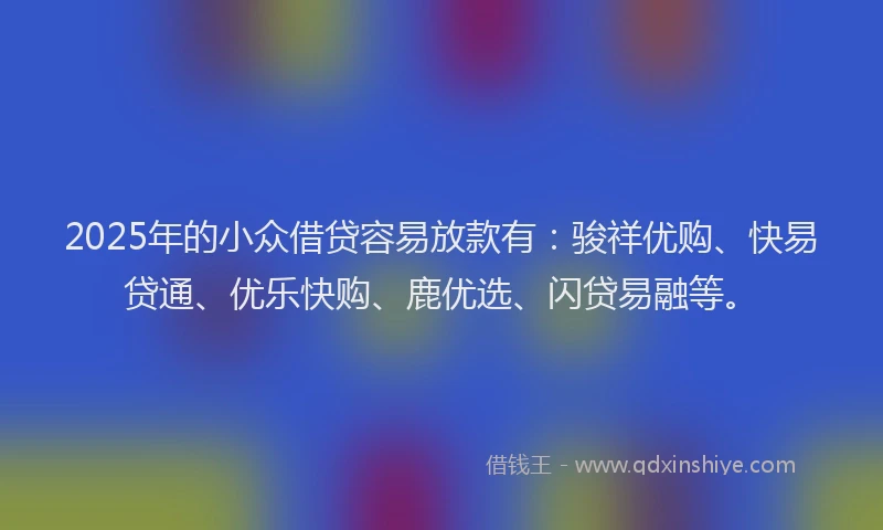 2025年的小众借贷容易放款有：骏祥优购、快易贷通、优乐快购、鹿优选、闪贷易融等。