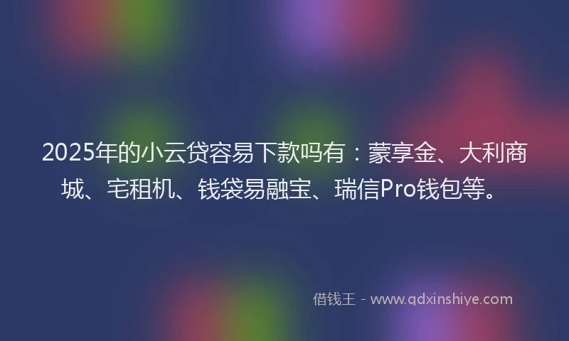 2025年的小云贷容易下款吗有：蒙享金、大利商城、宅租机、钱袋易融宝、瑞信Pro钱包等。