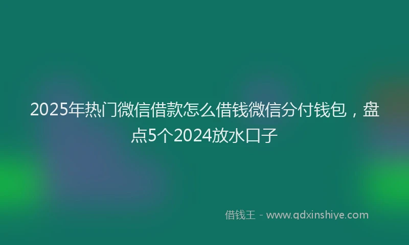 2025年热门微信借款怎么借钱微信分付钱包，盘点5个2024放水口子