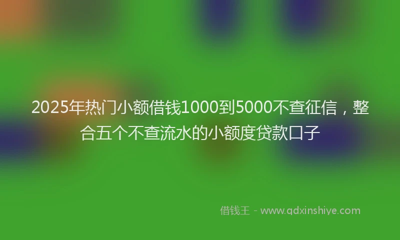 2025年热门小额借钱1000到5000不查征信，整合五个不查流水的小额度贷款口子
