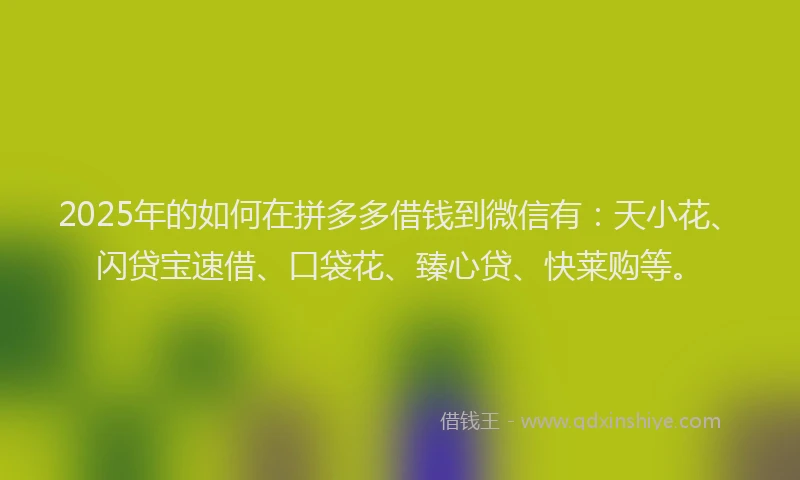 2025年的如何在拼多多借钱到微信有：天小花、闪贷宝速借、口袋花、臻心贷、快莱购等。