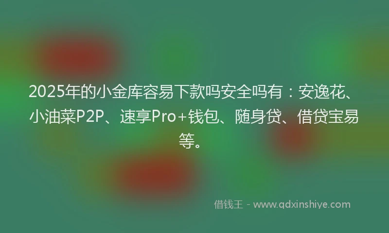 2025年的小金库容易下款吗安全吗有：安逸花、小油菜P2P、速享Pro+钱包、随身贷、借贷宝易等。